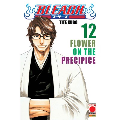 Bleach 12 – IV Rist