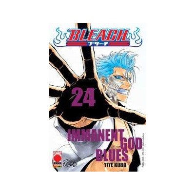 Bleach 24 – II Rist