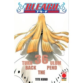 Bleach 36 – III Rist