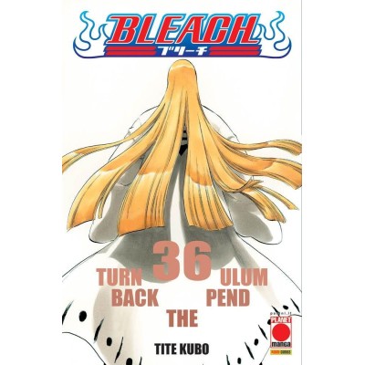 Bleach 36 – III Rist