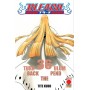 Bleach 36 – III Rist