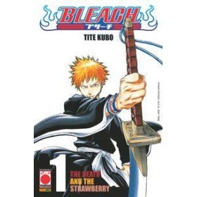 Bleach 1 – VIII Rist
