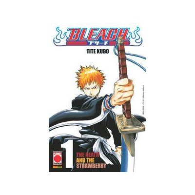 Bleach 1 – VIII Rist
