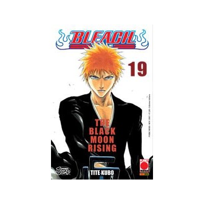 Bleach 19 – IV Rist