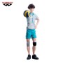Figura Toru Oikawa Haikyu!! 20cm