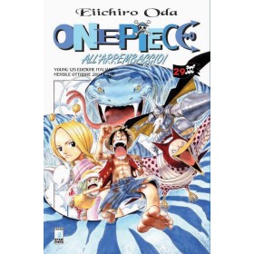 One Piece 29