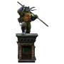 Teenage Mutant Ninja Turtles–  Donatello Unleashed