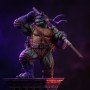 Teenage Mutant Ninja Turtles–  Donatello Unleashed