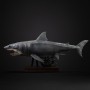 Jaws 50th anniversary – Steven Spielberg