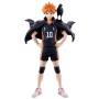 Haikyu!! – Ichibansho – The Future of Karasuno – Shoyo Hinata
