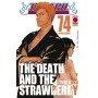 Bleach 74