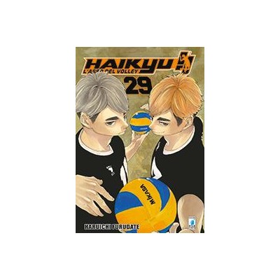 Haikyu!! 29