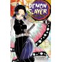 Demon Slayer 6