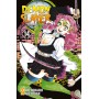 Demon Slayer 14