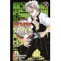 Demon Slayer 17
