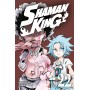 Shaman King Final Edition 22