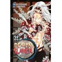 Demon Slayer 22