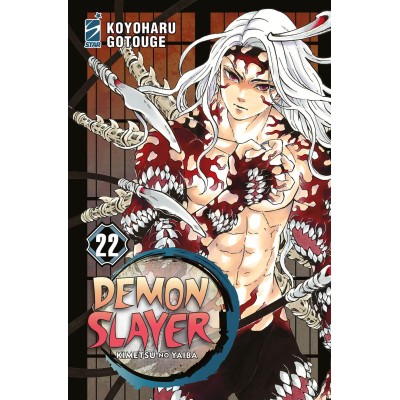 Demon Slayer 22