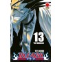 Bleach 13 – IV Rist
