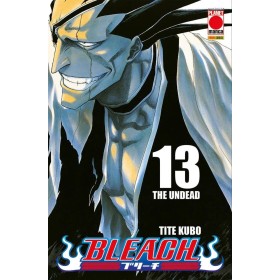 Bleach 13 – IV Rist