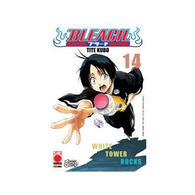 Bleach 14 – IV Rist