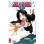 Bleach 14 – IV Rist