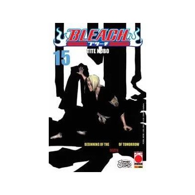Bleach 15 – IV Rist
