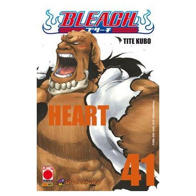 Bleach 41 – III Rist