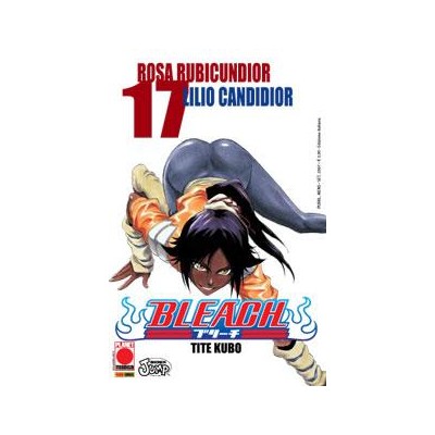 Bleach 17 – IV Rist