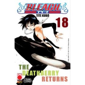 Bleach 18 – IV Rist