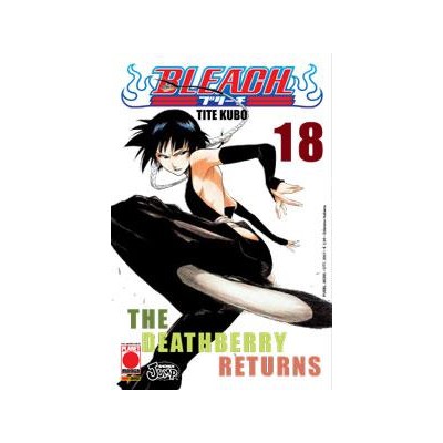 Bleach 18 – IV Rist