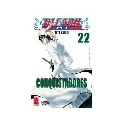 Bleach 22 – IV Rist