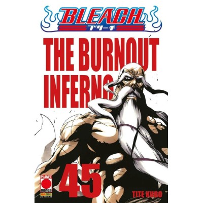 Bleach 45 – II Rist