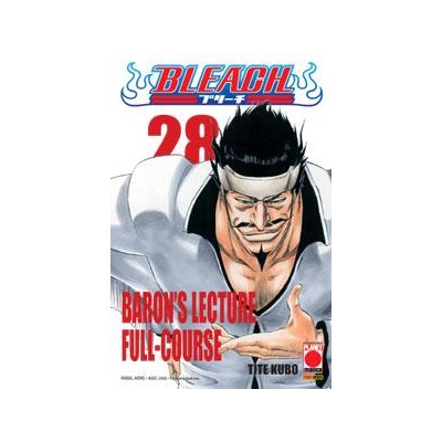 Bleach 28 – IV Rist