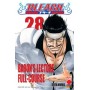 Bleach 28 – IV Rist
