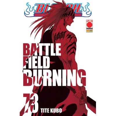 Bleach 73 – I Rist